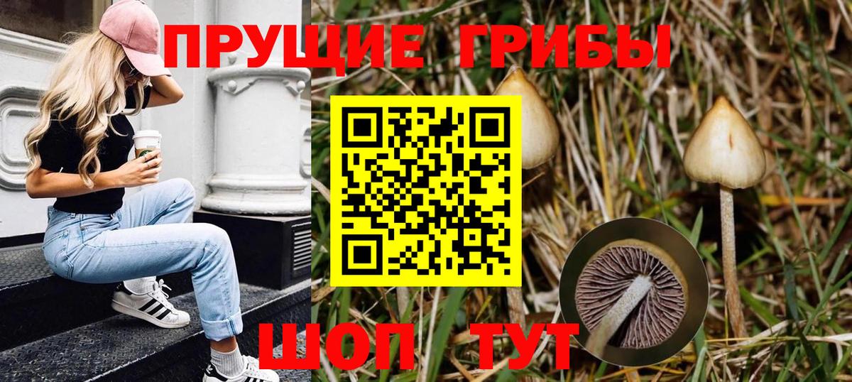 Галлюциногенные грибы прущие грибы Зерноград
