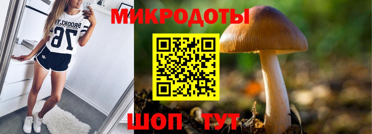 Галлюциногенные грибы Magic Shrooms  Вход с VPN  Зерноград 